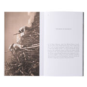 Art Now: Hylozoic/Desires exhibition book